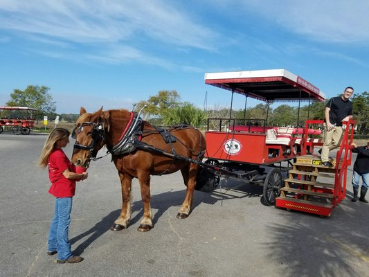 Sea Island Carriage Company by null