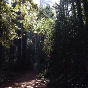 Joaquin Miller Park - Parks Near Me - Oakland, California