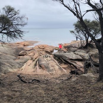 Honeymoon Bay - Bay - Beaches Near Me - Coles Bay, TAS