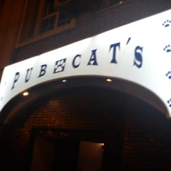Pub Cat's