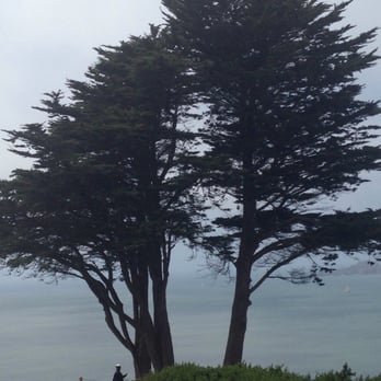 Batteries to Bluffs Trail - Lots of scenic vistas - Hiking Near Me - San Francisco, California