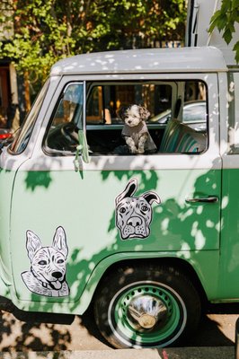 Amelie's Bark Shop by null
