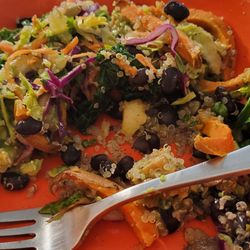 Harvest bowl