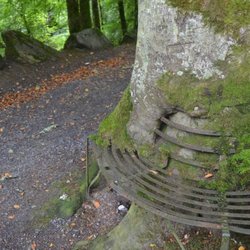 The Birks O' Aberfeldy