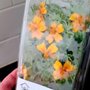 Photo of Roothouse Aquaponics