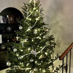 Bayside Garden Center - Christmas tree from Bayside Garden Center