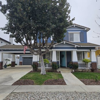 Tim's Tree Service & Yard Clean Up - Before photo - Tree Services Near Me - Ventura, California Tim's Tree Service & Yard Clean Up - Before photo - Tree Services Near Me - Ventura, California