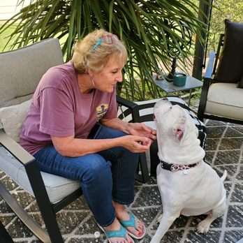 4 Paws 2 You - Pet Transportation Near Me - Surprise, Arizona 4 Paws 2 You - Pet Transportation Near Me - Surprise, Arizona