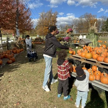 Alstede Farms - Fruits & Veggies Near Me - Chester, New Jersey