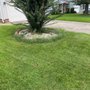 Photo of Rick’s Lawn Care