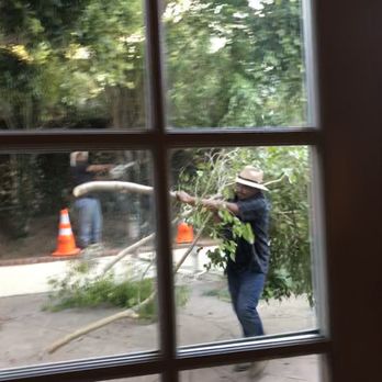 GM Landscaping & Tree Service - Cleaning up (they took all the branches to the grinder out in the front yard) - Landscaping Near Me - Vista, California GM Landscaping & Tree Service - Cleaning up (they took all the branches to the grinder out in the front yard) - Landscaping Near Me - Vista, California