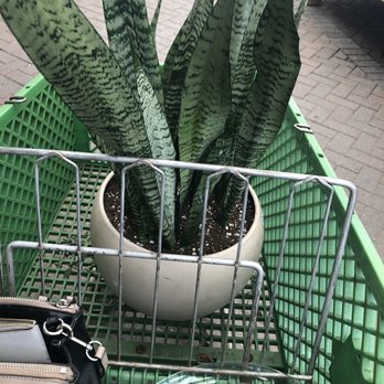 Hicks Nurseries - Nurseries & Gardening Near Me - Westbury, New York