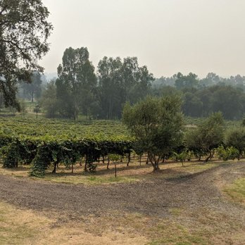 PaZa Estate Winery - The vineyard... Just lovely! - Wine Tasting Room Near Me - Auburn, California PaZa Estate Winery - The vineyard... Just lovely! - Wine Tasting Room Near Me - Auburn, California