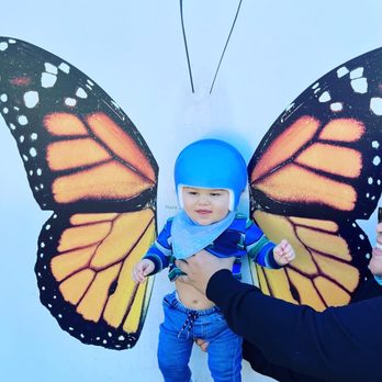 Rainbow Children's Daycare - SF Zoo day at Rainbow Kids Daycare - Child Care & Day Care Near Me - Sacramento , California Rainbow Children's Daycare - SF Zoo day at Rainbow Kids Daycare - Child Care & Day Care Near Me - Sacramento , California