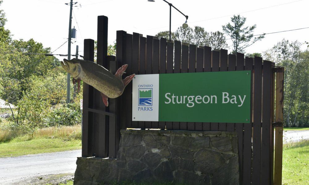 STURGEON BAY PROVINCIAL PARK Updated July 2024 203 Hwy 529, Pointe
