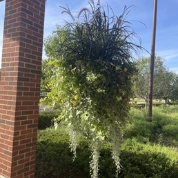 Outside Outside
