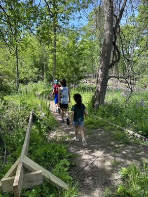 Innovation Hills by null