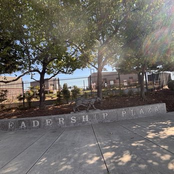 Klein Family Field - A day at the ball park. UOP college baseball - Stadiums & Arenas Near Me - Stockton, California Klein Family Field - A day at the ball park. UOP college baseball - Stadiums & Arenas Near Me - Stockton, California