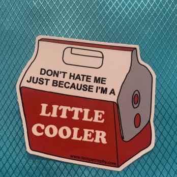 Tempe Trophy - Customs vinyl sticker - A sticker featuring a cartoon-style mini cooler with the text 'DON'T HATE ME JUST BECAUSE I'M A LITTLE COOLER' on a textured blue surface. - Trophy Shops Near Me - Tempe, Arizona