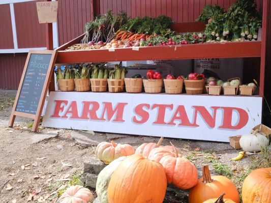 Masker Orchards by null