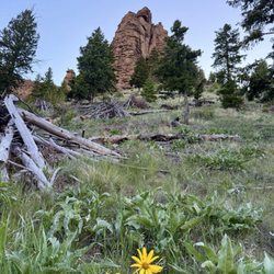 Absaroka Mountain Lodge - Beautiful rock formation on the one mile loop around the lodge.