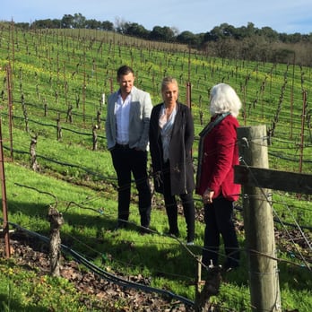Bin 415 Private Tours - Vineyard talk - Tours Near Me - San Francisco, California