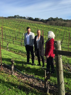 Bin 415 Wine Tastings & Private Tours by null