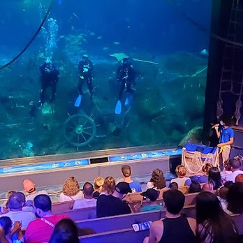 Adventure Aquarium - Diver Q&A - Aquariums Near Me - Camden, New Jersey Adventure Aquarium - Diver Q&A - Aquariums Near Me - Camden, New Jersey