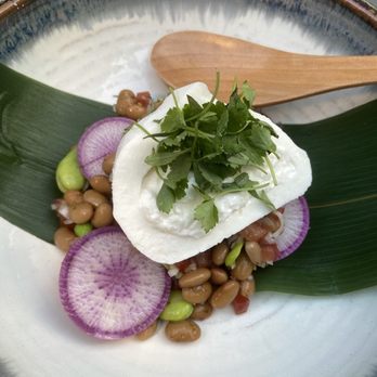 kodo - DAIZU BEAN SALAD- not good, skip unless you want pico de gallo flavor (with yesterday tomatoes) with burrato - Cocktail Bars Near Me - Los Angeles, California kodo - DAIZU BEAN SALAD- not good, skip unless you want pico de gallo flavor (with yesterday tomatoes) with burrato - Cocktail Bars Near Me - Los Angeles, California
