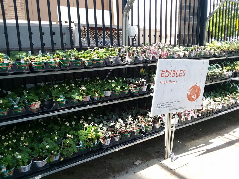 WALMART GARDEN CENTER Updated June 2024 3151 Apex Peakway, Apex