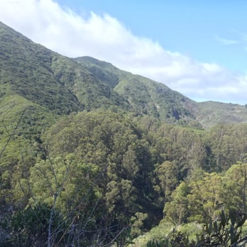 San Pedro Valley Park - Parks Near Me - Pacifica, California San Pedro Valley Park - Parks Near Me - Pacifica, California