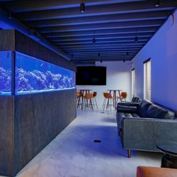 Ocean Treasures Servicing - Monster aquarium at 12.5' x 36" x 32". Custom Glass reeftank with everything you can think of including automatic water changes.