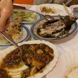 Ristorante Shanghai - Mapo tofu, sea bass, bok choi, egg fried rice