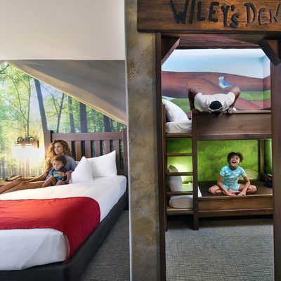 Great Wolf Lodge Water Park | Colorado Springs by null