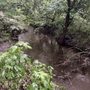 Photo of Dyck Arboretum of the Plains