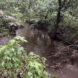 Dyck Arboretum of the Plains - This is small stream running on the edge of the arboretum.