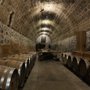 Photo of viñedo Caminos D’ Vinos