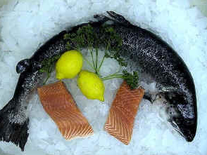 Russo's Seafood by null