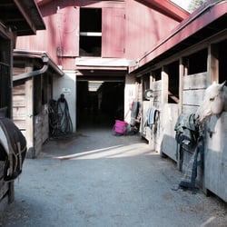 Rock Creek Park Horse Center