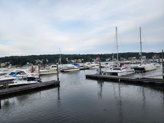 Fair Haven Oyster Company by null