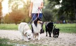 Frederick Paws & Claws - pet boarding facility in Frederick, MD