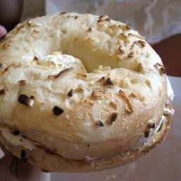 Garlic Onion Bagel