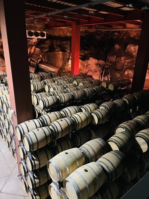 Monte Xanic Bodega Vinícola by null