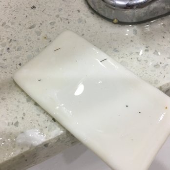 Anchorage Inn - whiskers in soap - Hotels Near Me - Lakeport, California