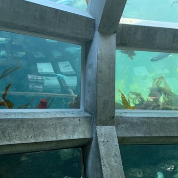 Seattle Aquarium - Aquariums Near Me - Seattle, Washington Seattle Aquarium - Aquariums Near Me - Seattle, Washington