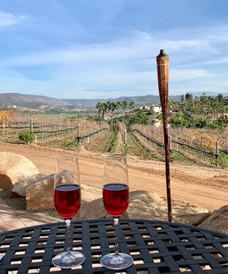 Hungry Hawk Vineyards & Winery by null