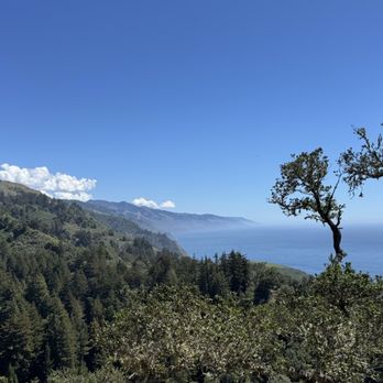 Nepenthe - New American Near Me - Big Sur, California Nepenthe - New American Near Me - Big Sur, California
