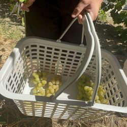Khm Produce