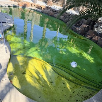 Clean Pool Pros - Before - Pool Cleaners Near Me Clean Pool Pros - Before - Pool Cleaners Near Me