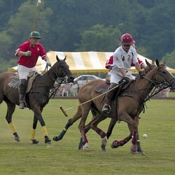 Tinicum Park Polo - This photo of Tinicum Polo's Max Berger Cup, an USPA event, on July 12, 2008 is courtesy of Richard Green (All rights reserved).